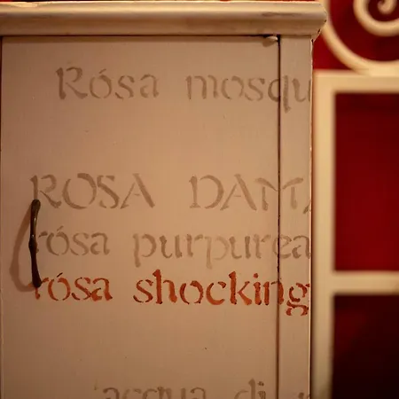 Dogana D'Acqua Rooms & Art Livorno Exterior photo